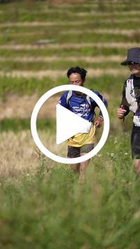 BIB:  <button type="button" onclick="openModal(26787317)" class="btn btn-primary btn-sm float-right" data-toggle="modal" data-target=".modal-high-quality">
                <i class="fa fa-download"></i> Download
                </button>